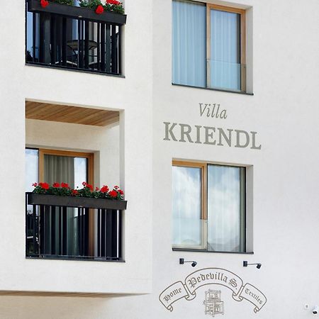 Villa Kriendl Nr 3 Piz Da Peres Olang Exteriér fotografie